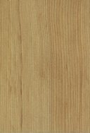 Hemlock verni